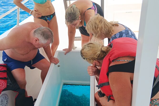 2 Hours Turtle Feeding, Shipwreck & Reef Snorkeling Tour Barbados - Swimming with hawksbill turtles near the west coast