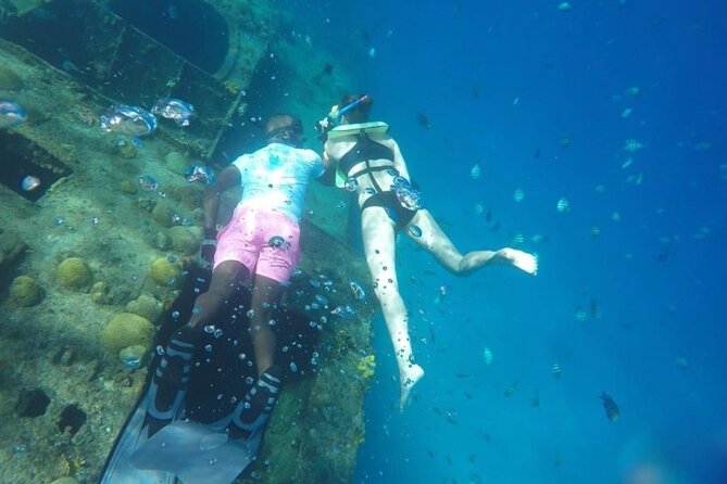 2 Hours Turtle Feeding, Shipwreck & Reef Snorkeling Tour Barbados - Who will enjoy this Barbados excursion most?
