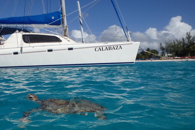 5-Hour Small-Group Catamaran Cruise from Bridgetown with Lunch - Why this small catamaran works so well