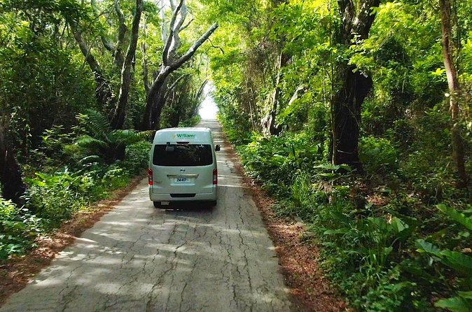 5 Hours St. Nicholas Abbey and Bajan Tour in Barbados - What the Guide Adds to the Day