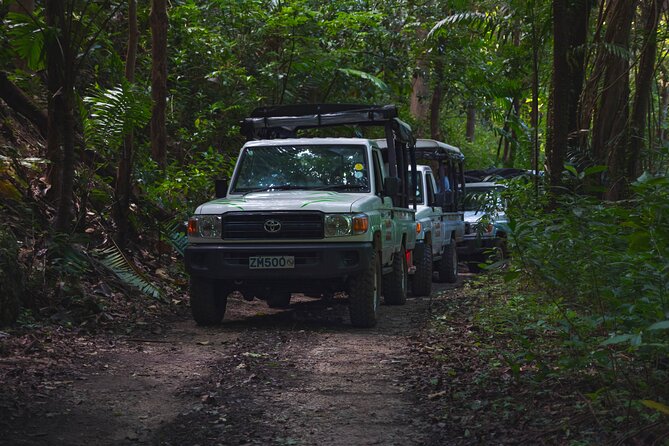 Adventure Safari - Gun Hill Signal Station: A Quick Start With a Big View