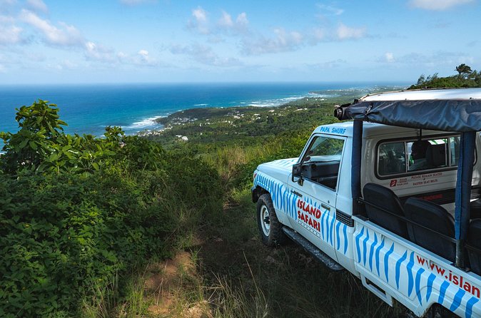 Adventure Safari - Little Bay and the Blowholes
