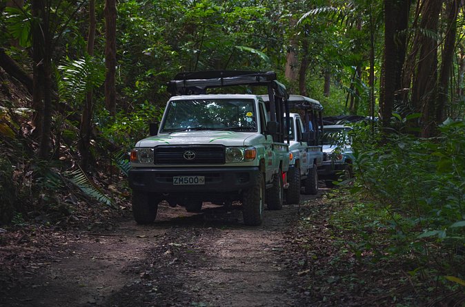 Adventure Safari - Guides Make the Difference