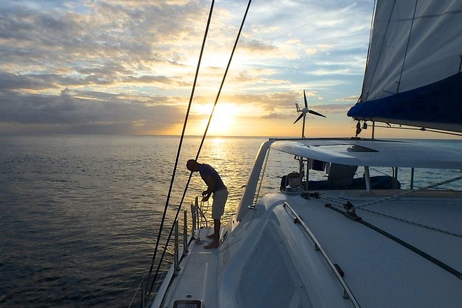 Afternoon Luxury Catamaran Sailing and Charter Cruise from Bridgetown - Why the late-afternoon departure works so well