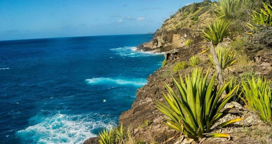 Antigua: Guided Morning and Sunset Hikes - Sugar Apple, Mango, Tamarind, and Stinking Toe