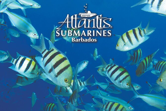 Atlantis Submarine Day Tour - Descending to 150 feet and the shipwreck
