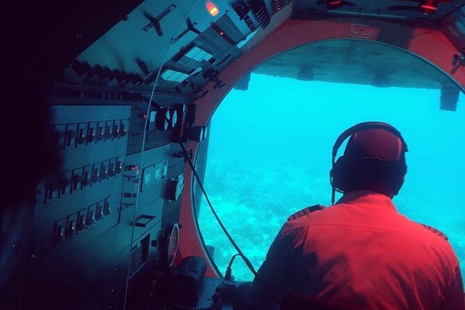 Atlantis Submarine Day Tour - How much sea life will you see?