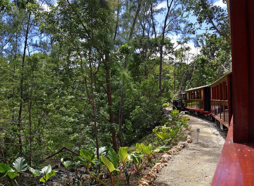 Barbados: 4 Hour Private Customized Island Tour - Is $140 per person good value?