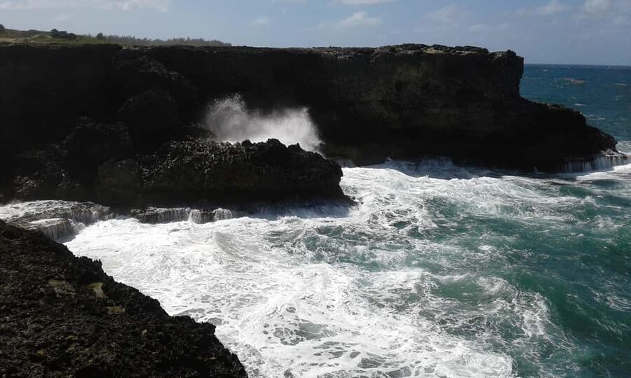 Barbados: 4 Hour Private Customized Island Tour - Bridgetown, Garrison Savannah, and the island’s story