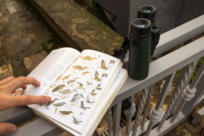Barbados Bird Watching Experience (Transport Included) - Transport, equipment, and the practical details