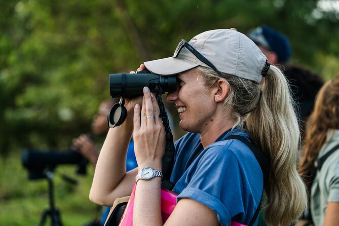 Barbados Bird Watching Experience (Transport Included) - Chancery Lane Swamp: reeds, egrets, and seasonal change
