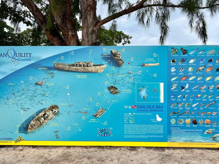 Barbados: Carlisle Bay Beach Day and Turtle Swim Experience - Key points to know before you book