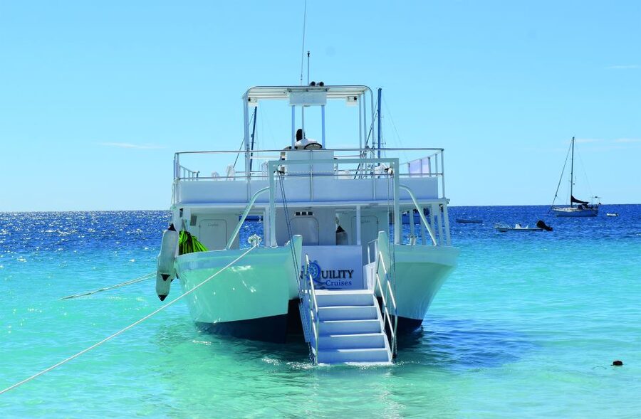 Barbados: Carlisle Bay Beach Day and Turtle Swim Experience - How the timing shapes your six hours
