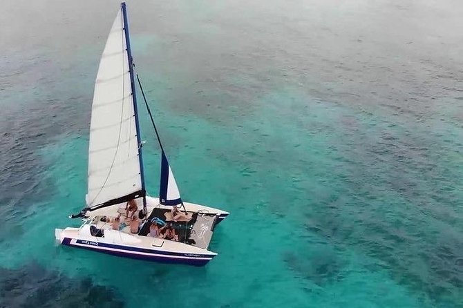Barbados Catamaran Snorkel Cruise with Lunch and Open Bar - Turtles, wrecks, rays, and reef fish