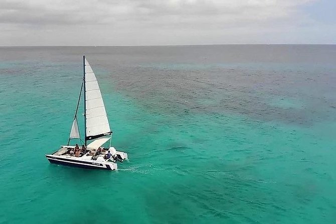 Barbados Catamaran Snorkel Cruise with Open Bar - Carlisle Bay and the Search for Sea Turtles