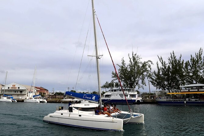 Barbados Catamaran Snorkeling Turtle and Shipwrecks tour - The Bajan buffet and open bar