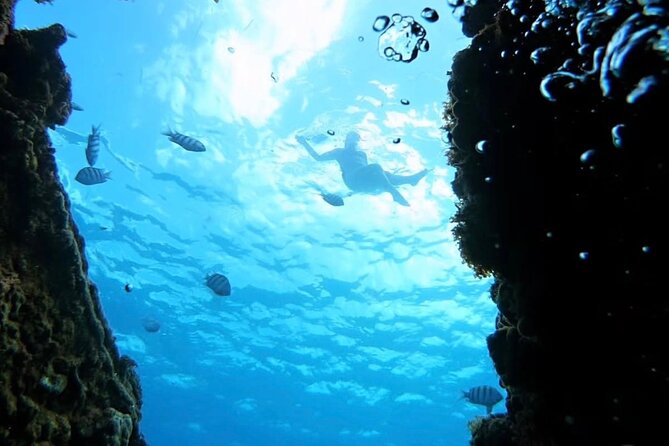 Barbados Catamaran Snorkeling Turtle and Shipwrecks tour - What the $110 price really covers