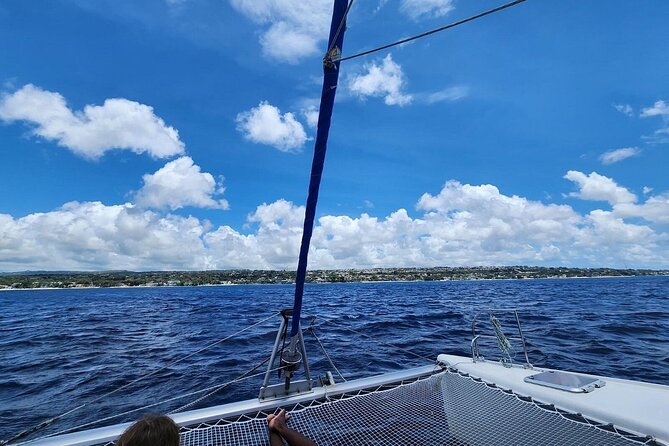 Barbados Catamaran Snorkeling Turtle and Shipwrecks tour - Who will enjoy this catamaran cruise most