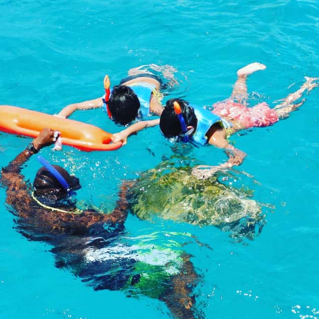 Barbados: Catamaran Tour with Snorkeling and Lunch - The first swim, turtles, and getting comfortable in the water