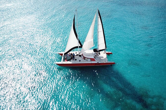 Barbados Catamaran Turtle and Shipwreck Snorkeling Cruise - The shipwreck stop and what you may see below