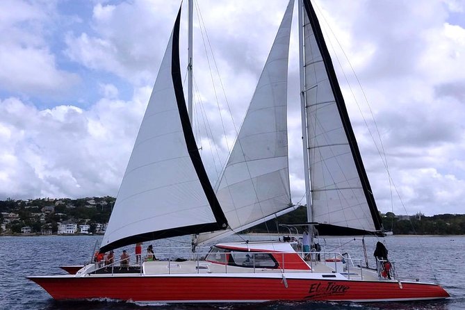 Barbados Catamaran Turtle and Shipwreck Snorkeling Cruise - Drinks, food, and the onboard mood
