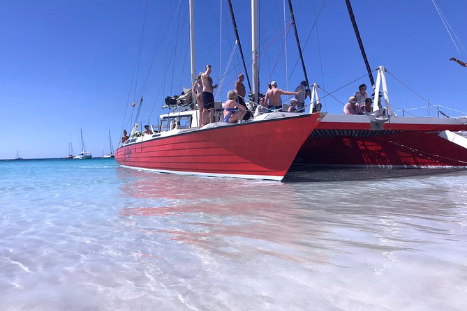 Barbados Catamaran Turtle and Shipwreck Snorkeling Cruise - How the group size changes the experience