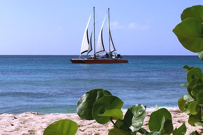 Barbados Catamaran Turtle and Shipwreck Snorkeling Cruise - Is the $85 price a good value?