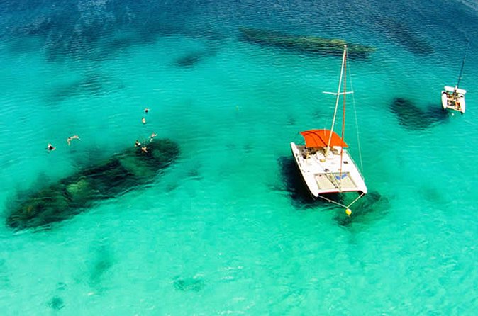 Barbados Catamaran Turtle Snorkel with Lunch and Open Bar - Pickup, Timing, and the Shape of the Day
