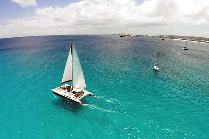 Barbados Catamaran Turtle Snorkel with Lunch and Open Bar - Who Will Enjoy This Catamaran Most