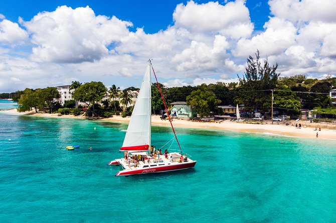 Barbados Catamaran Turtle Snorkel with Open Bar - Key points at a glance