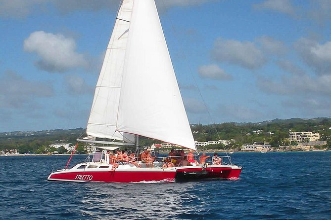 Barbados Catamaran Turtle Snorkel with Open Bar - Shipwrecks, fish, and a possible second bay