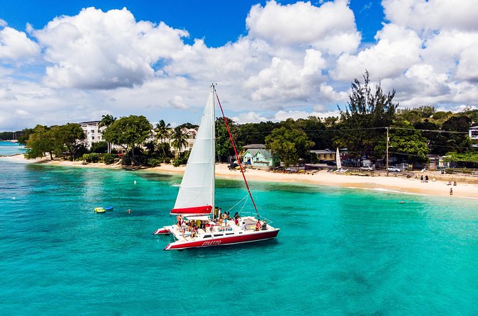 Barbados Catamaran Turtle Snorkel with Open Bar - The west coast sail between swims