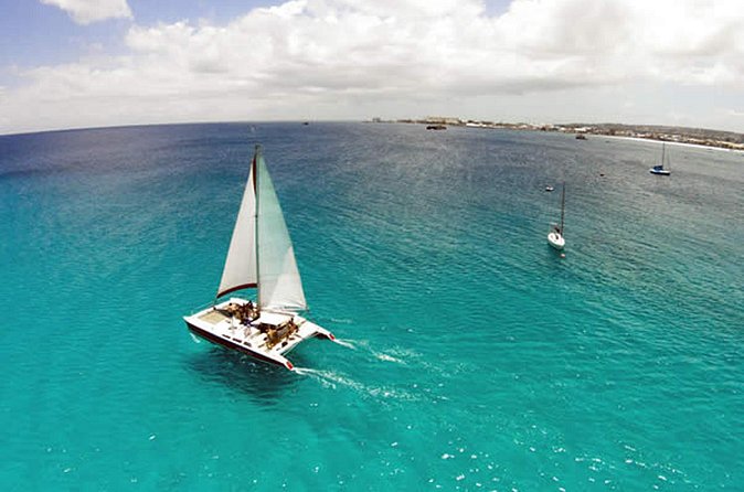 Barbados Catamaran Turtle Snorkel with Open Bar - What $85 gets you
