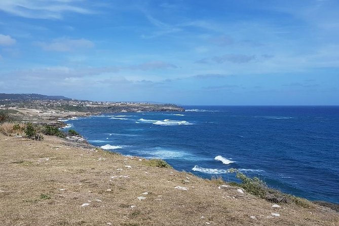 Barbados Coastal Sightseeing Private Tour - Codrington College adds an inland pause