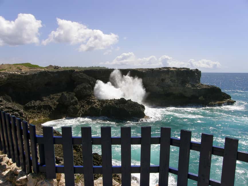 Barbados: Coastal Sightseeing Tour with Lunch and Transfers - What the guides add to the day