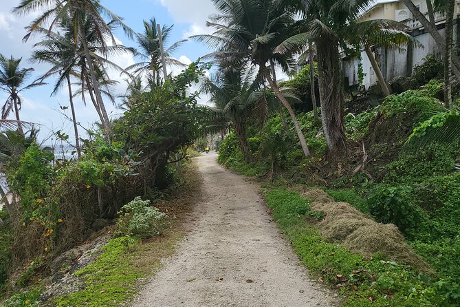 Barbados Ebike Day Rental(24 hours) - Pickup is the part to organize carefully