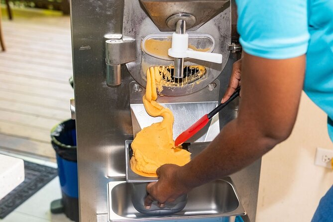 Barbados Fruit to Scoop Culinary Experience : Taste & Make Sorbet - Learning Barbados through its fruit