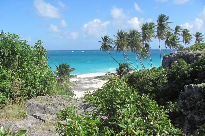 Barbados Full-day Coast to Coast Tour - Speightstown, Holetown, and the settled west