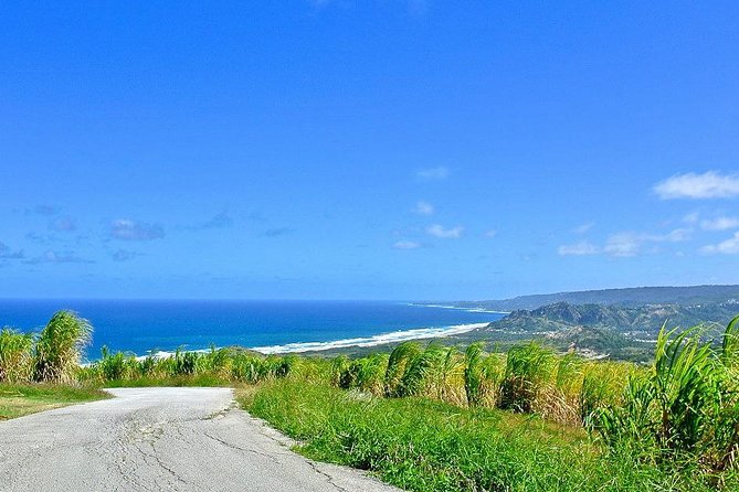 Barbados Full-day Coast to Coast Tour - Cherry Tree Hill and the east coast view