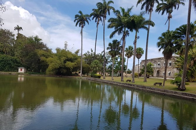 Barbados Full-day Private Tour - Local lunch and the value of flexibility