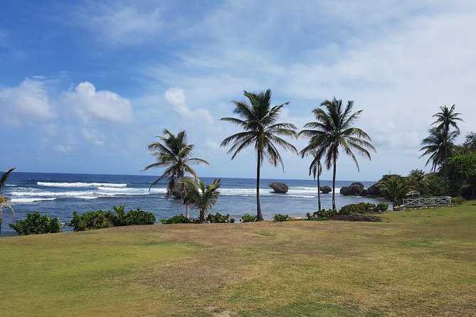 Barbados Full-day Private Tour - What the $255.13 group price really buys