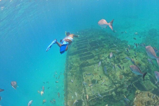 Barbados Glass Bottom Boat Cruise and Snorkeling - What the guides add, especially for first-time snorkelers