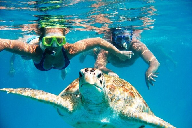 Barbados Glass Bottom Boat Cruise and Snorkeling - A simple sequence: boat ride, wrecks, turtles, and drinks