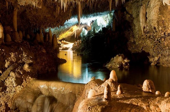 Barbados Harrison's Cave and Atlantis Submarine Dive Tour - Is the $260 price good value?