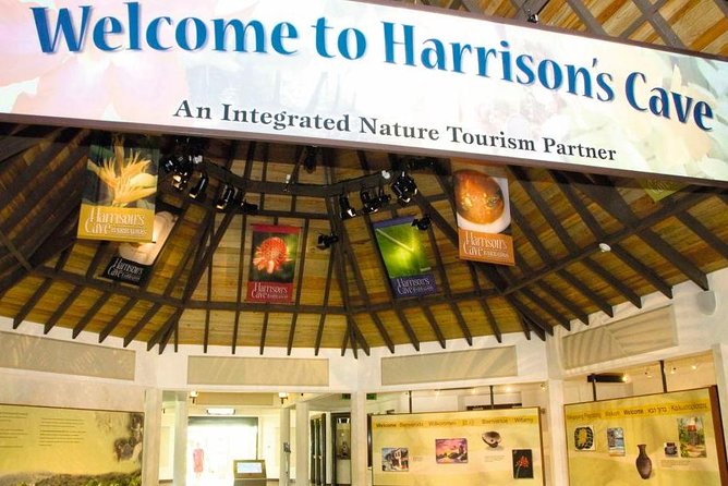 Barbados Harrison's Cave and Atlantis Submarine Dive Tour - Who will enjoy this outing most?
