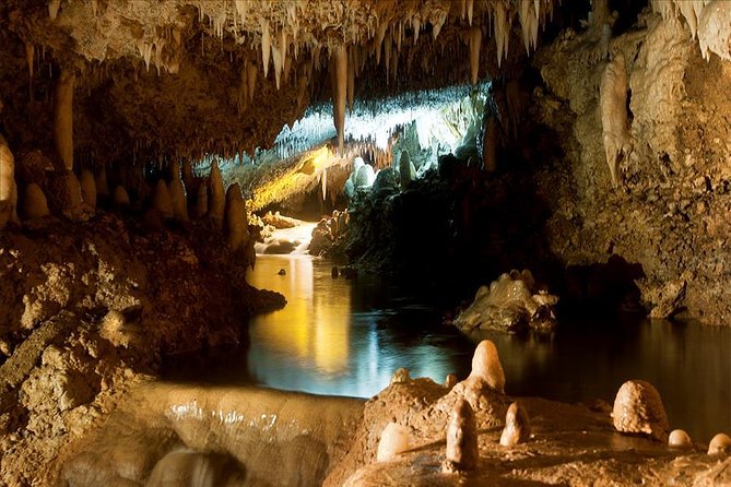 Barbados Harrison's Cave and St Nicolas Abbey Tour - Should you book Harrison’s Cave and St. Nicholas Abbey?