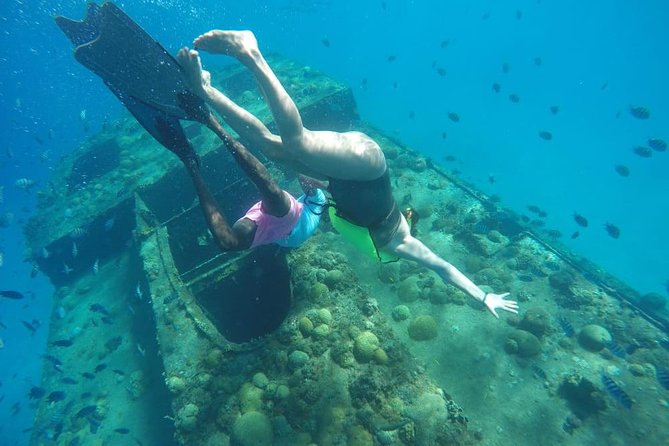 Barbados Harrison's Cave Tram Tour and Boat Cruise Snorkel Adventure - Who will get the most from this tour
