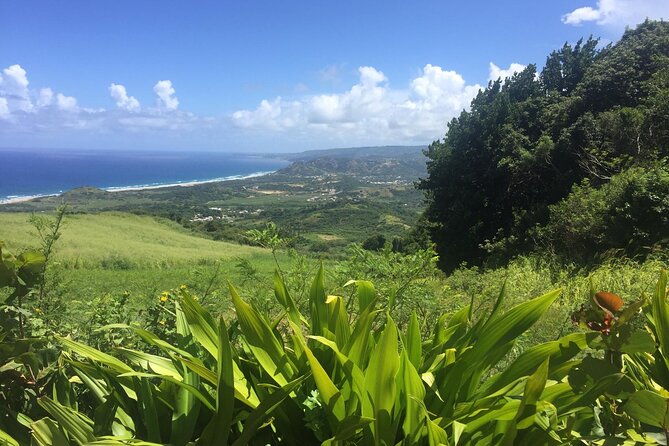 Barbados Highlights and Rum Tour - Bathsheba and the Atlantic coast