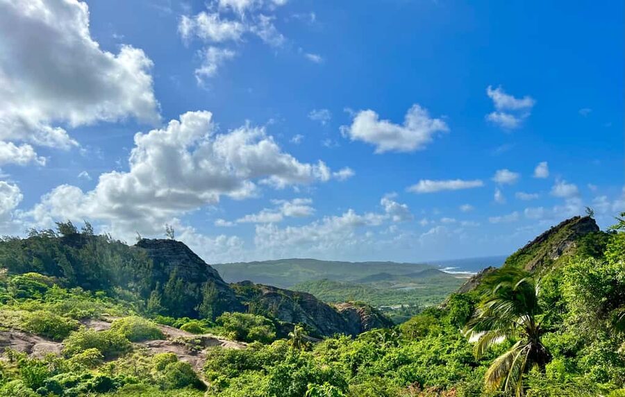 Barbados Highlights Tour - What this Barbados tour does well in four hours