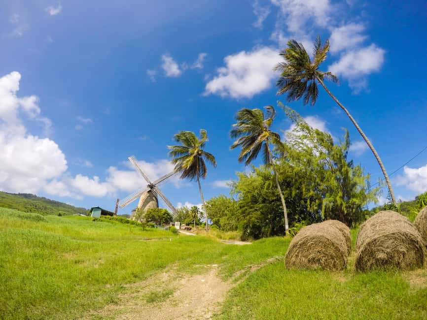 Barbados Highlights Tour - Cherry Tree Hill and the East Coast view
